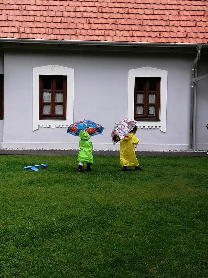 Aracsi Vendeghaz Hotel Balatonfured Exterior photo